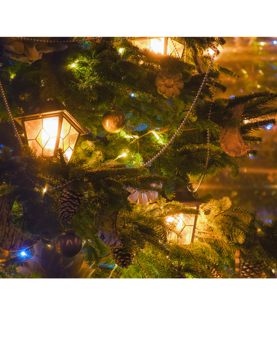 natural christmas tree with christmas lights at night time