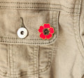 Poppy Brooch Pin - [farm_afternoons]