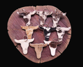 Bull Head Key Ring - [farm_afternoons]