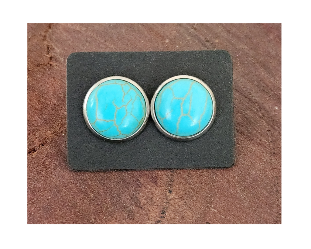 Turquoise  Studs - [farm_afternoons]