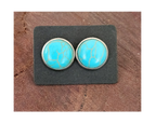 Turquoise  Studs - [farm_afternoons]