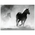 Wild Horses - Aluminum Print - [farm_afternoons]