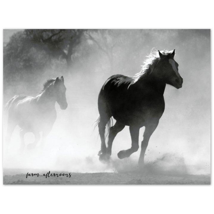 Wild Horses - Aluminum Print - [farm_afternoons]