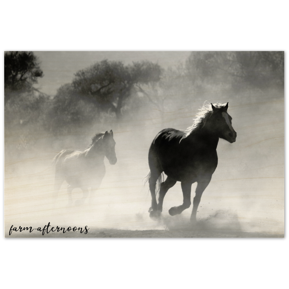 Wild Horses - Wood Prints - [farm_afternoons]