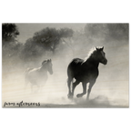 Wild Horses - Wood Prints - [farm_afternoons]